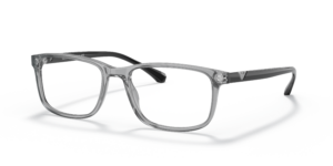 Emporio Armani 3098 5029