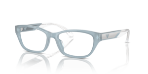 Emporio Armani 3238U 6096