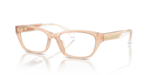 Emporio Armani 3238U 6098
